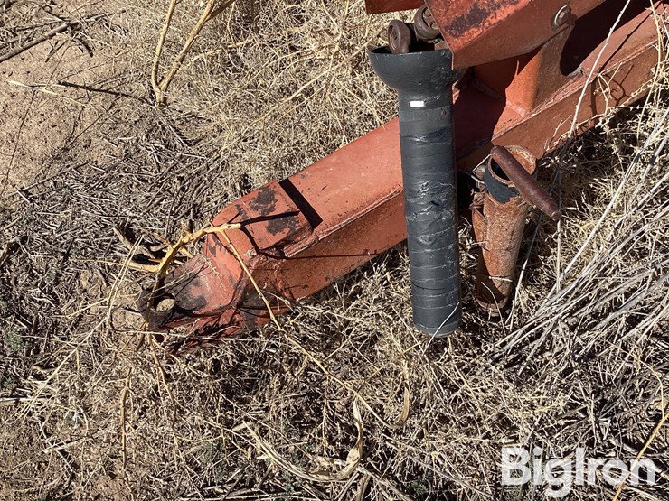 international-1290-image-15