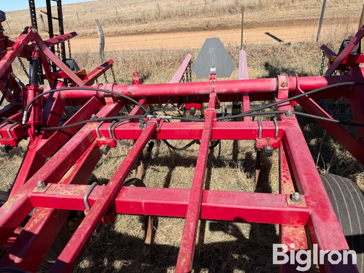 sunflower-2433-31-image-18