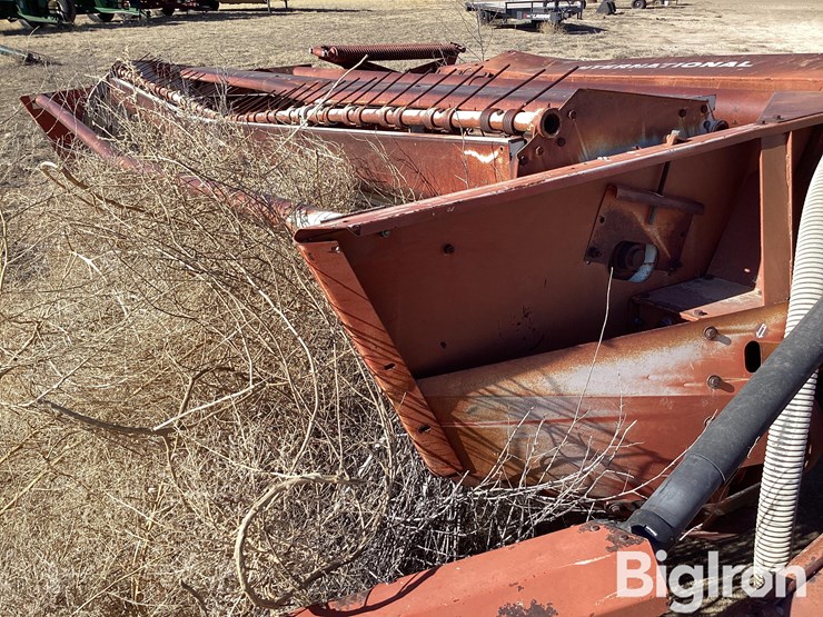 international-1290-image-18