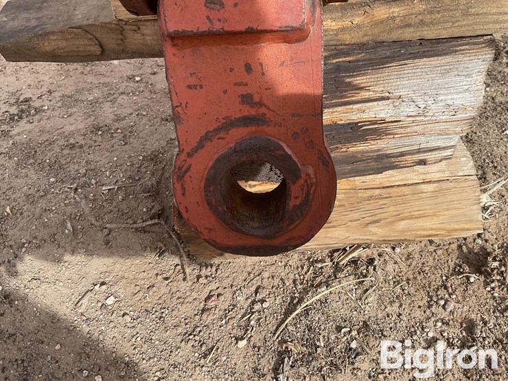 sunflower-1232-32-image-9