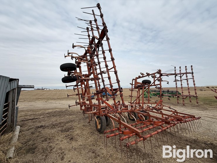 wil-rich-2500-image-7