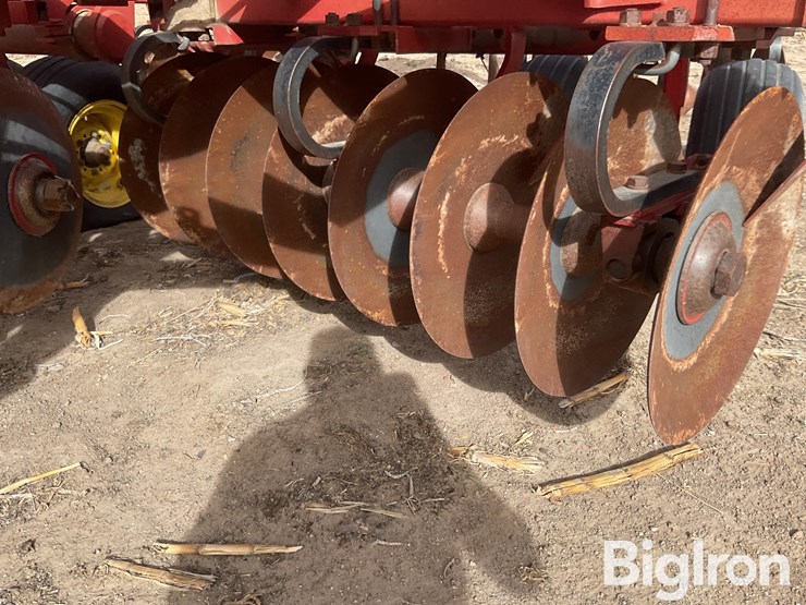 sunflower-1232-32-image-11