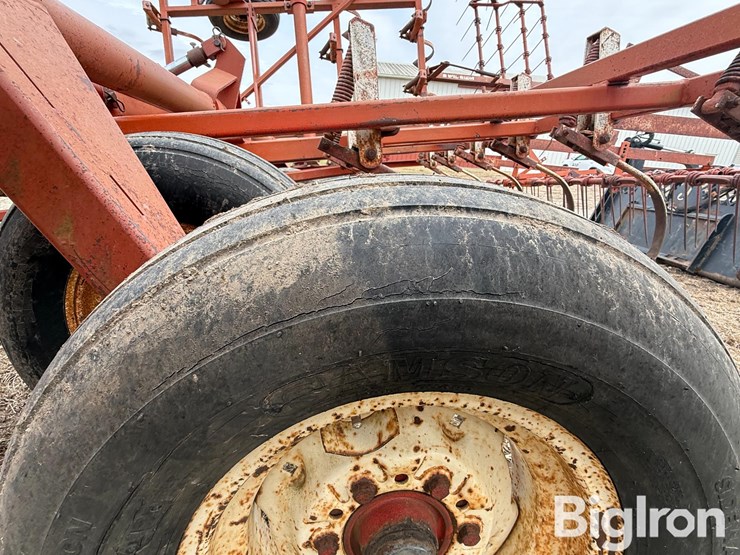 wil-rich-2500-image-19