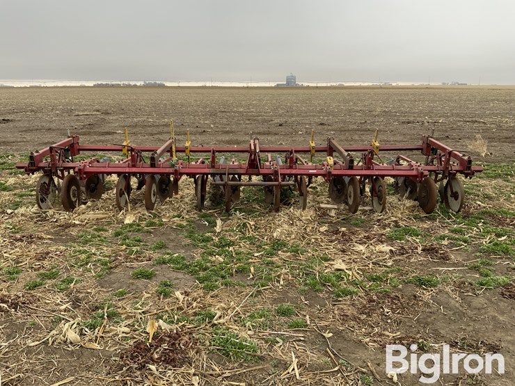 international-470-image-2