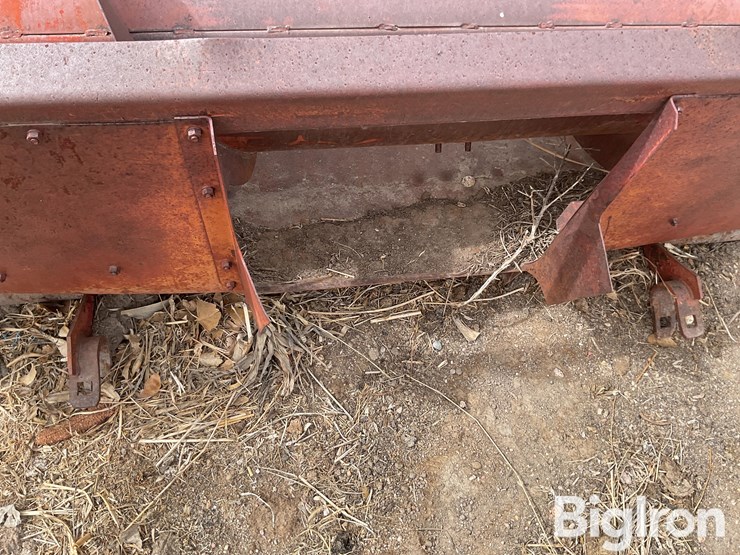 international-5-image-11