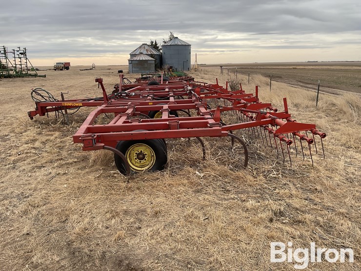 sunflower-2330-image-8