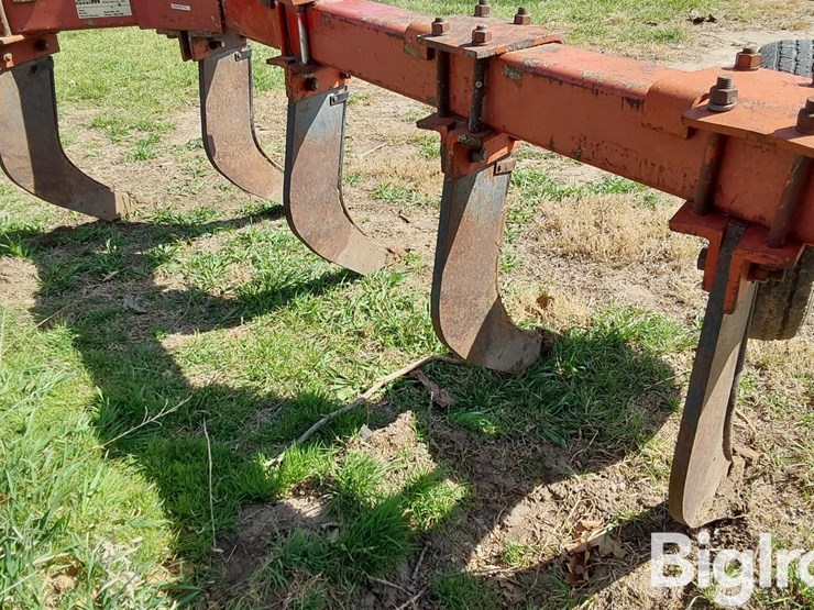 international-10-image-15