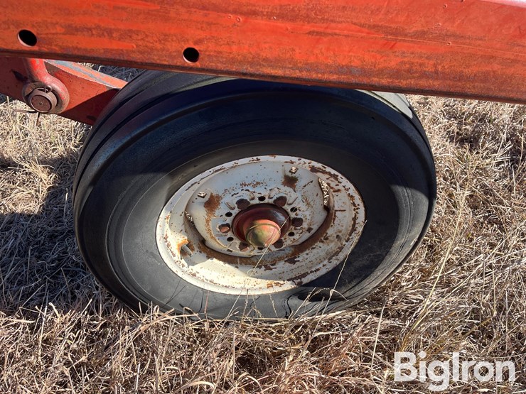 international-55-image-16