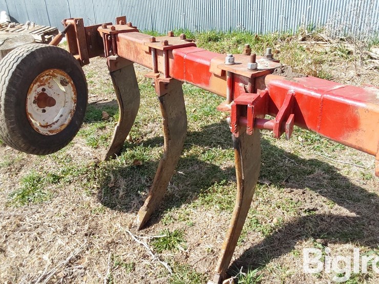 international-10-image-10