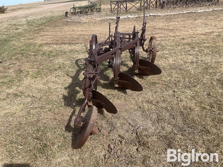 international-3-image-6