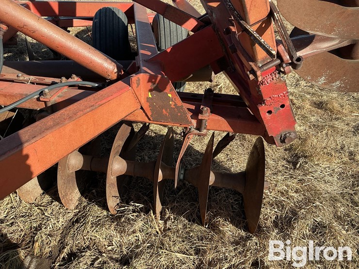 international-490-image-18