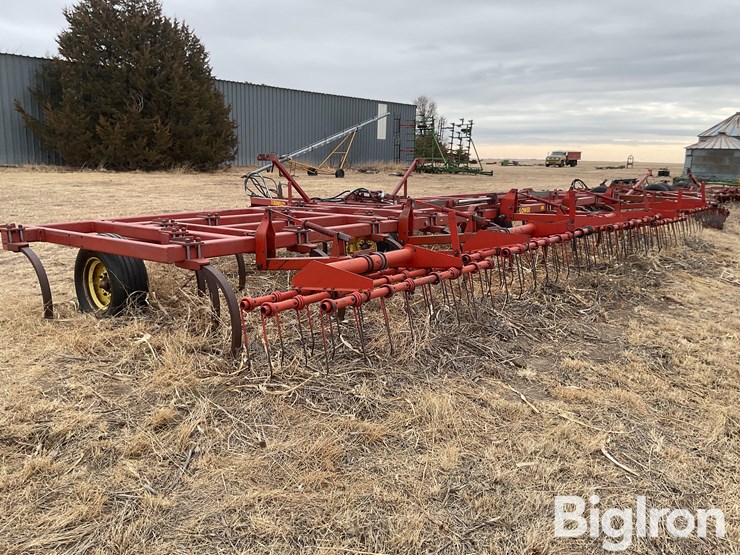 sunflower-2330-image-7