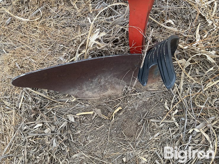 international-800-image-20