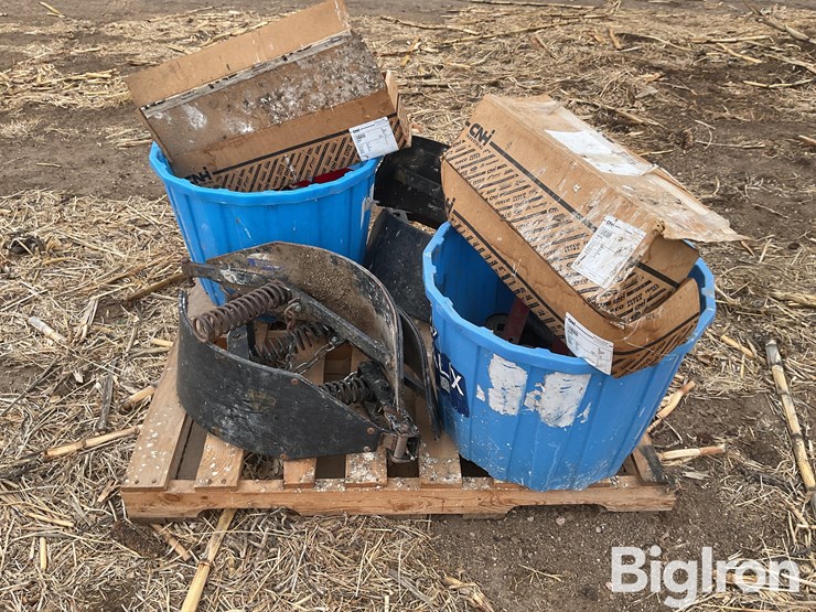 international-555-image-4