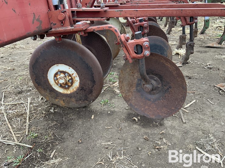 international-170-image-9