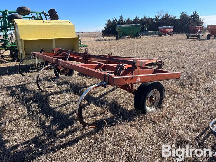 international-55-image-5