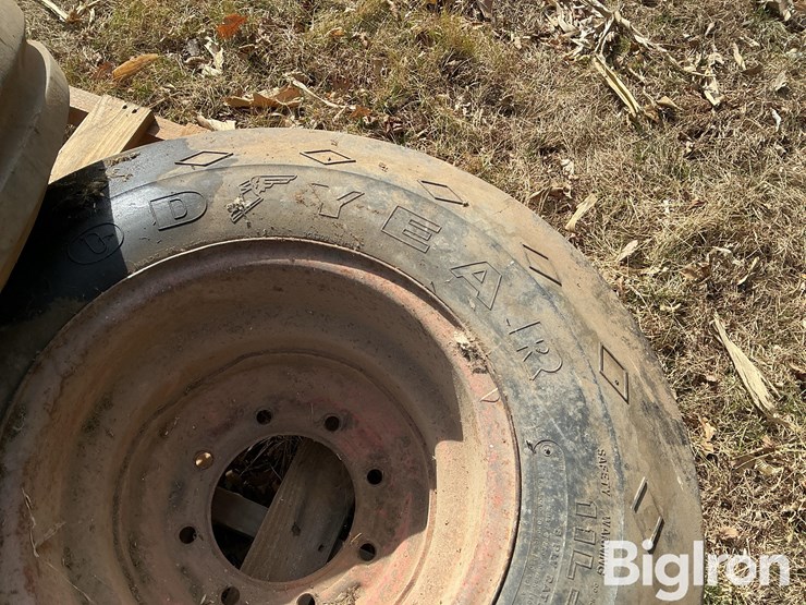 international-8-image-13