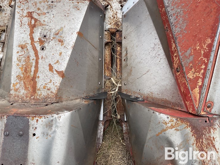 international-963-image-12