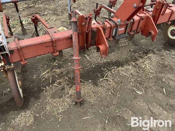 international-170-image-14