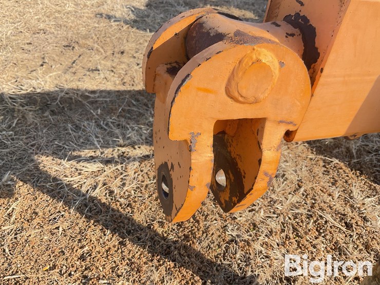 big-dog-s11-image-10