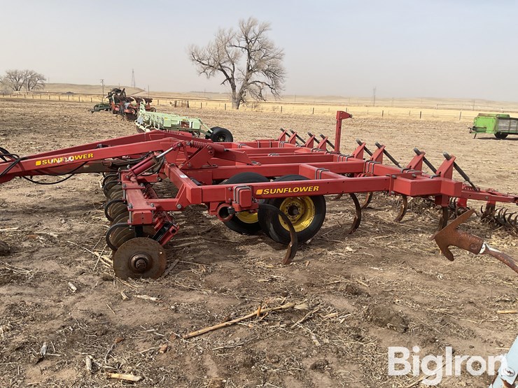 sunflower-4212-image-8