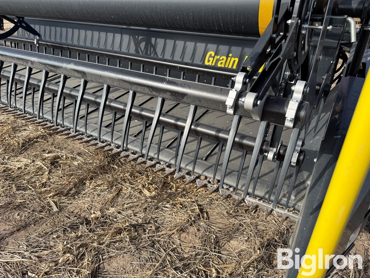 2016-honey-bee-sp36-image-19