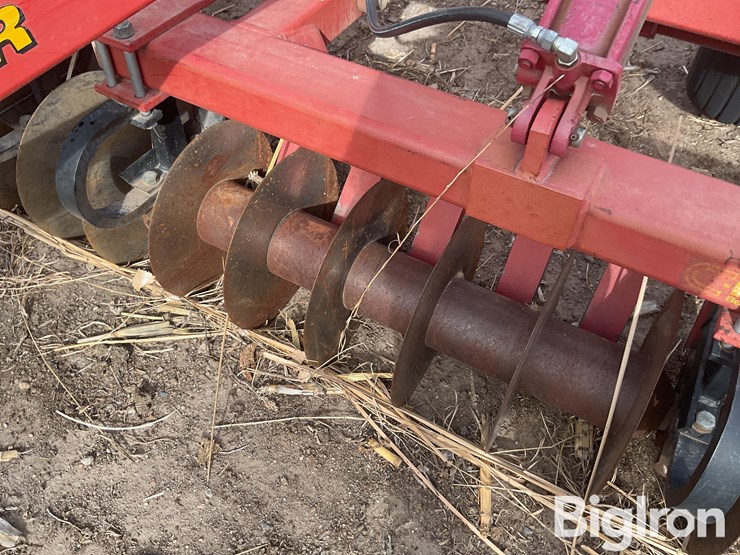 sunflower-4212-image-13