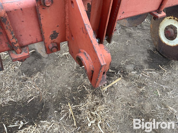 international-170-image-15