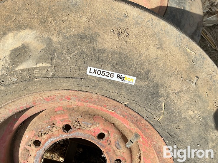 international-8-image-20