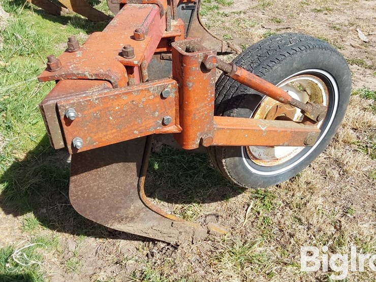 international-10-image-14