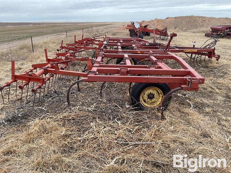 sunflower-2330-image-4