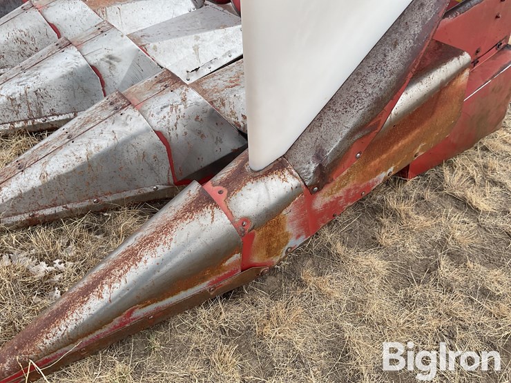 international-963-image-9