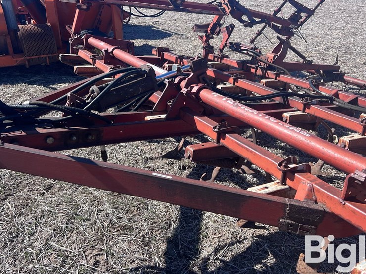 international-45-image-16