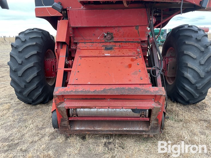 international-1480-image-9