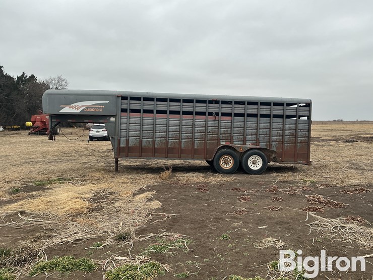 1996-diamond-d-image-8