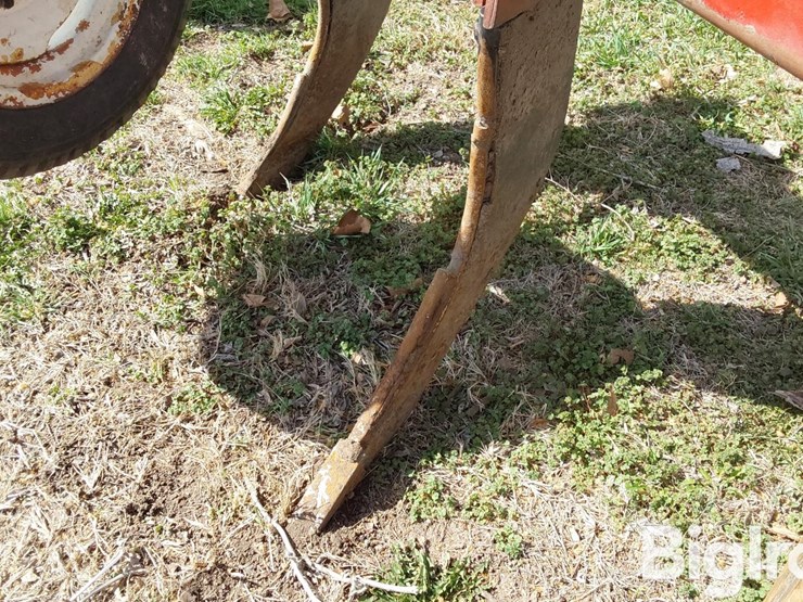 international-10-image-12