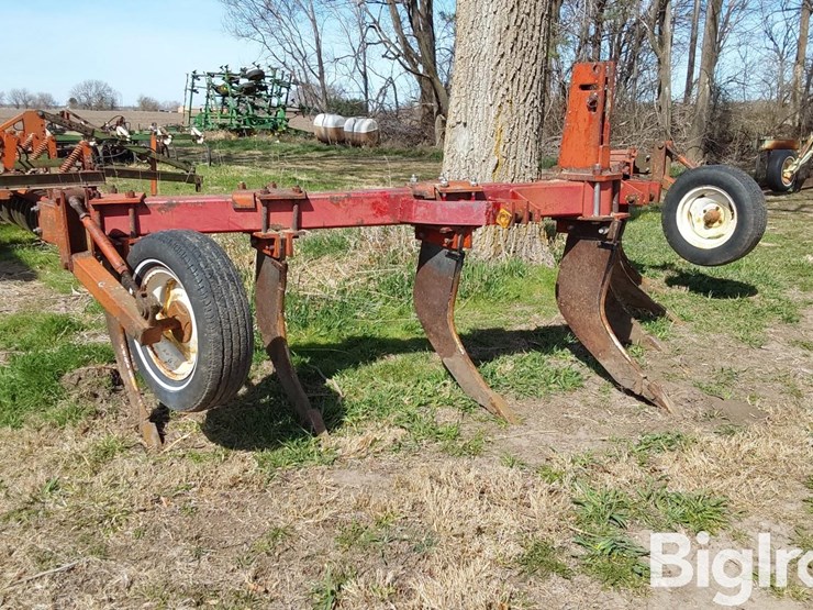 international-10-image-3