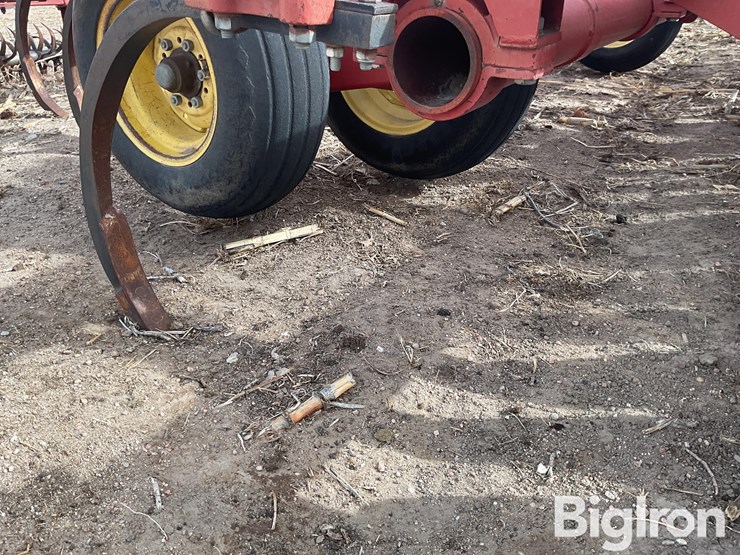 sunflower-4212-image-18