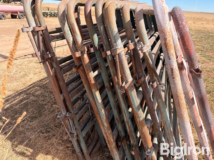 12'-livestock-panels-image-10