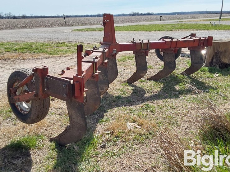 international-10-image-7