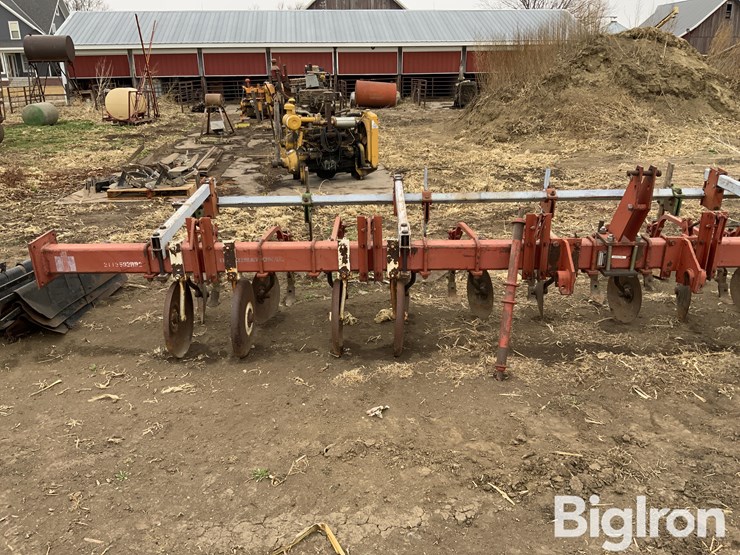 international-170-image-12