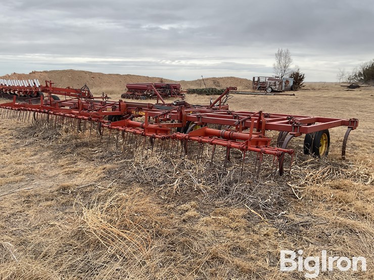 sunflower-2330-image-5