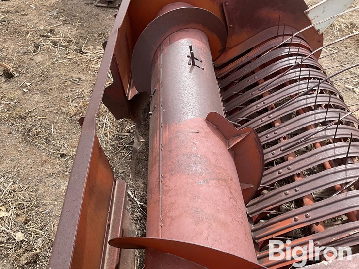 international-5-image-16