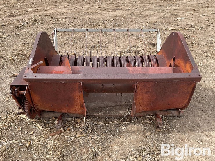 international-5-image-6