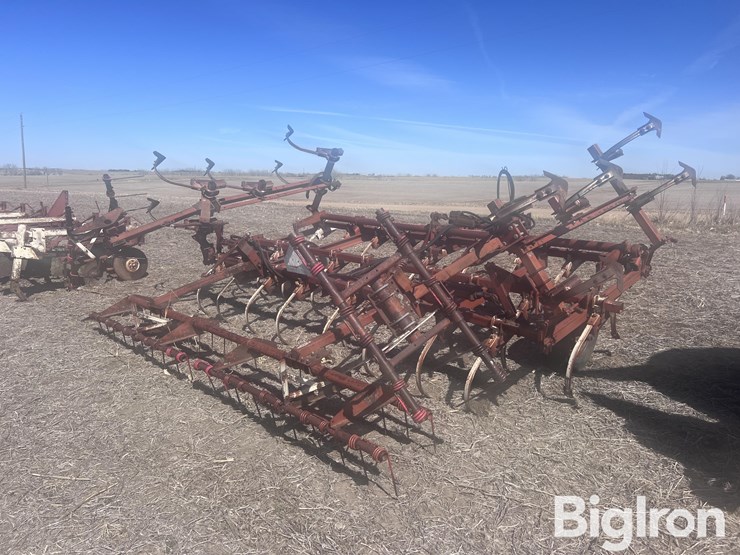 international-45-image-5