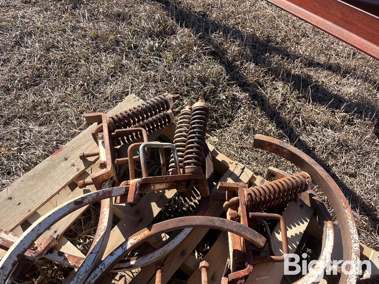 international-55-image-20