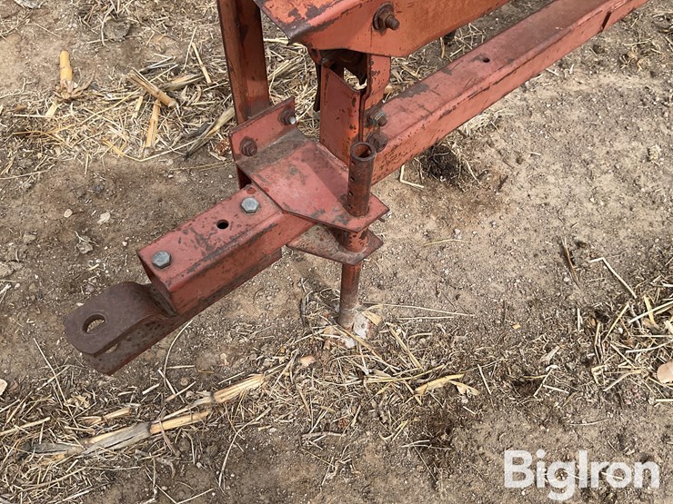 international-555-image-10