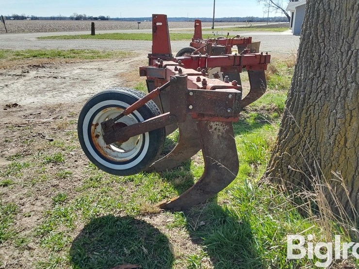 international-10-image-7