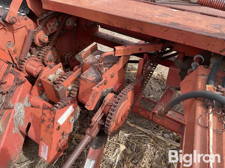 international-555-image-15