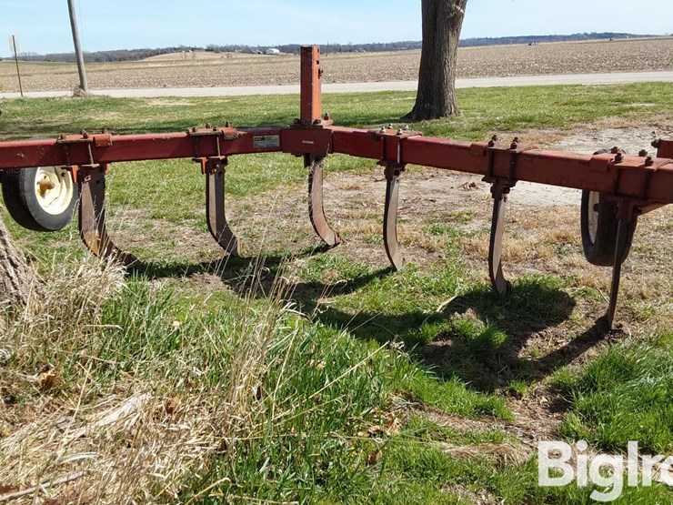 international-10-image-6